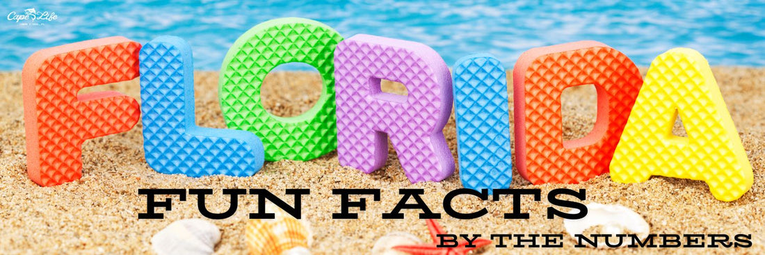 Florida Fun Facts by the Numbers